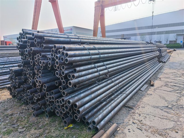 IMG_20230401_155838.jpg IMG_20230401_155838.jpg